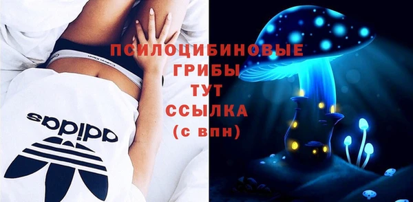 mdpv Алексин