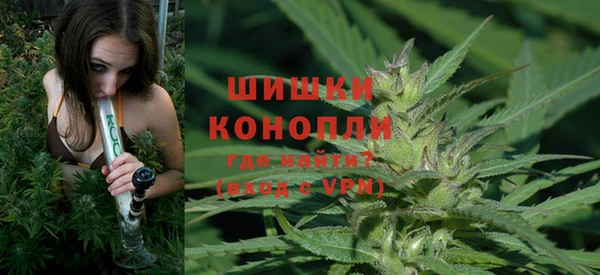 мяу мяу мука Абаза