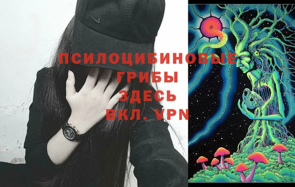 герыч Абдулино