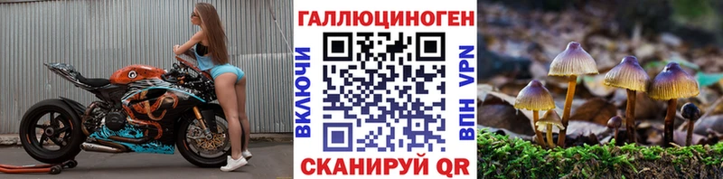 Псилоцибиновые грибы прущие грибы Судогда